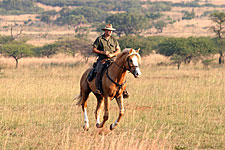 Zambia-Zambia-Shiwa Ngandu Deluxe Horse Safari